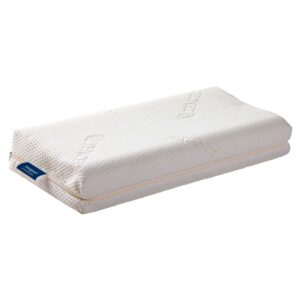 HR-Schaum-Nackenstützkissen morgana NSK 100 - Betten Raymond Hildesheim